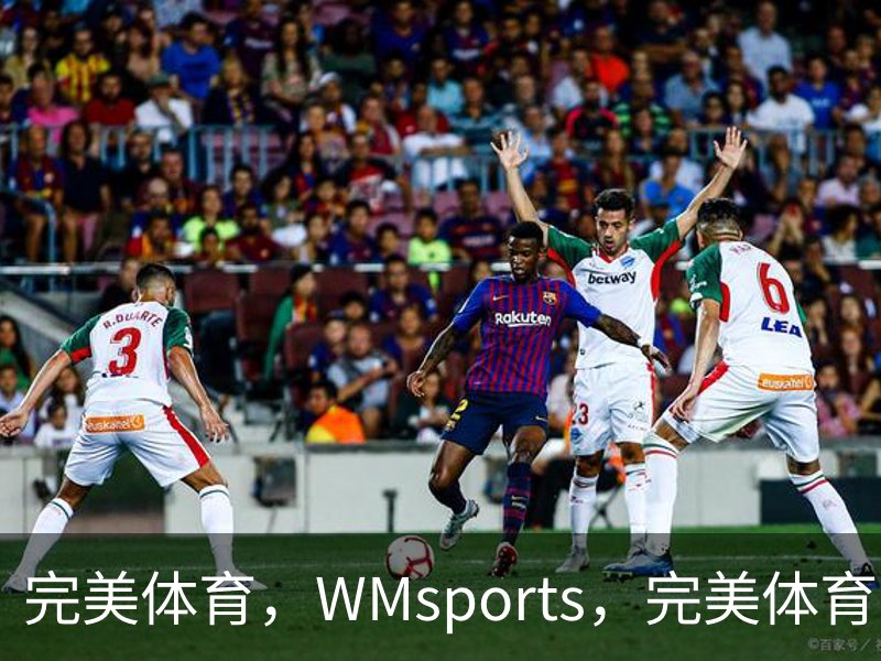 完美体育，WMsports，完美体育官方，完美体育平台，完美体育下载简介